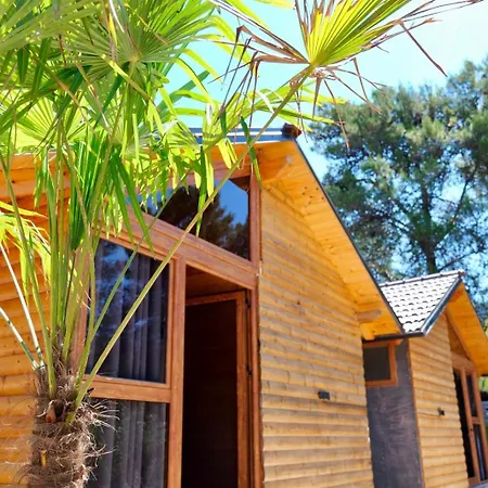 Bujtinat E Delvines Casa vacanze Delvine