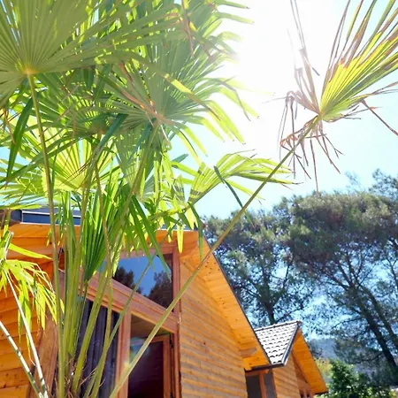 Bujtinat E Delvines Casa vacanze Delvine